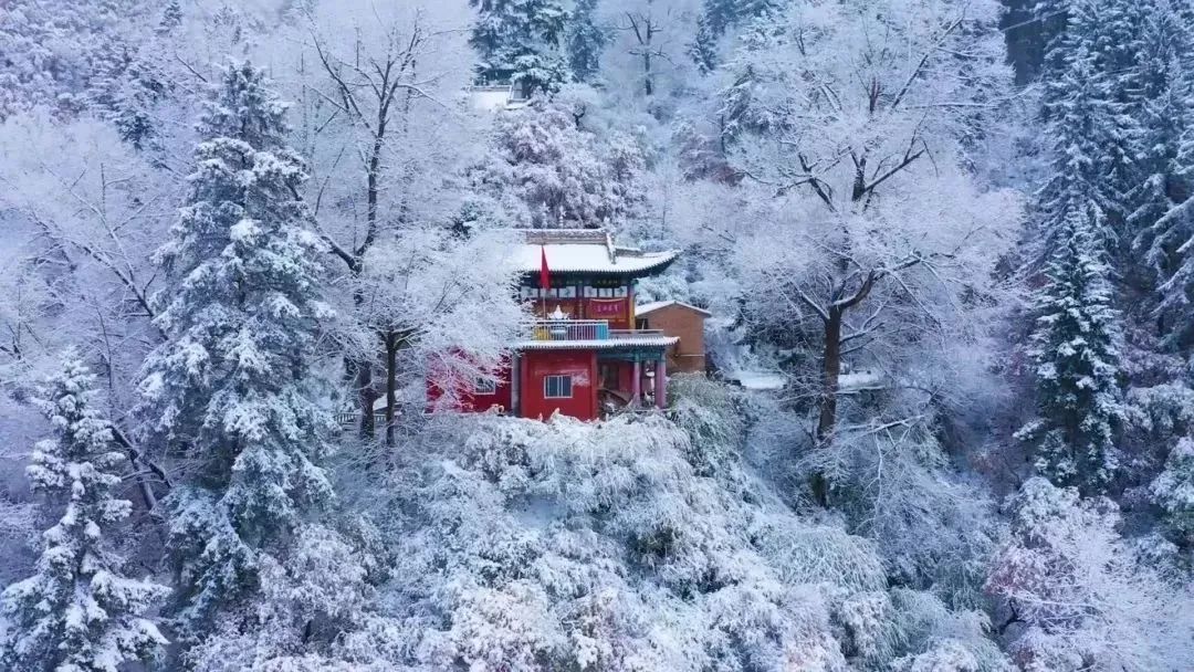 榄呭姏姒嗕腑瀹炲姏姒嗕腑,榄呭姏姒嗕腑缇庢櫙