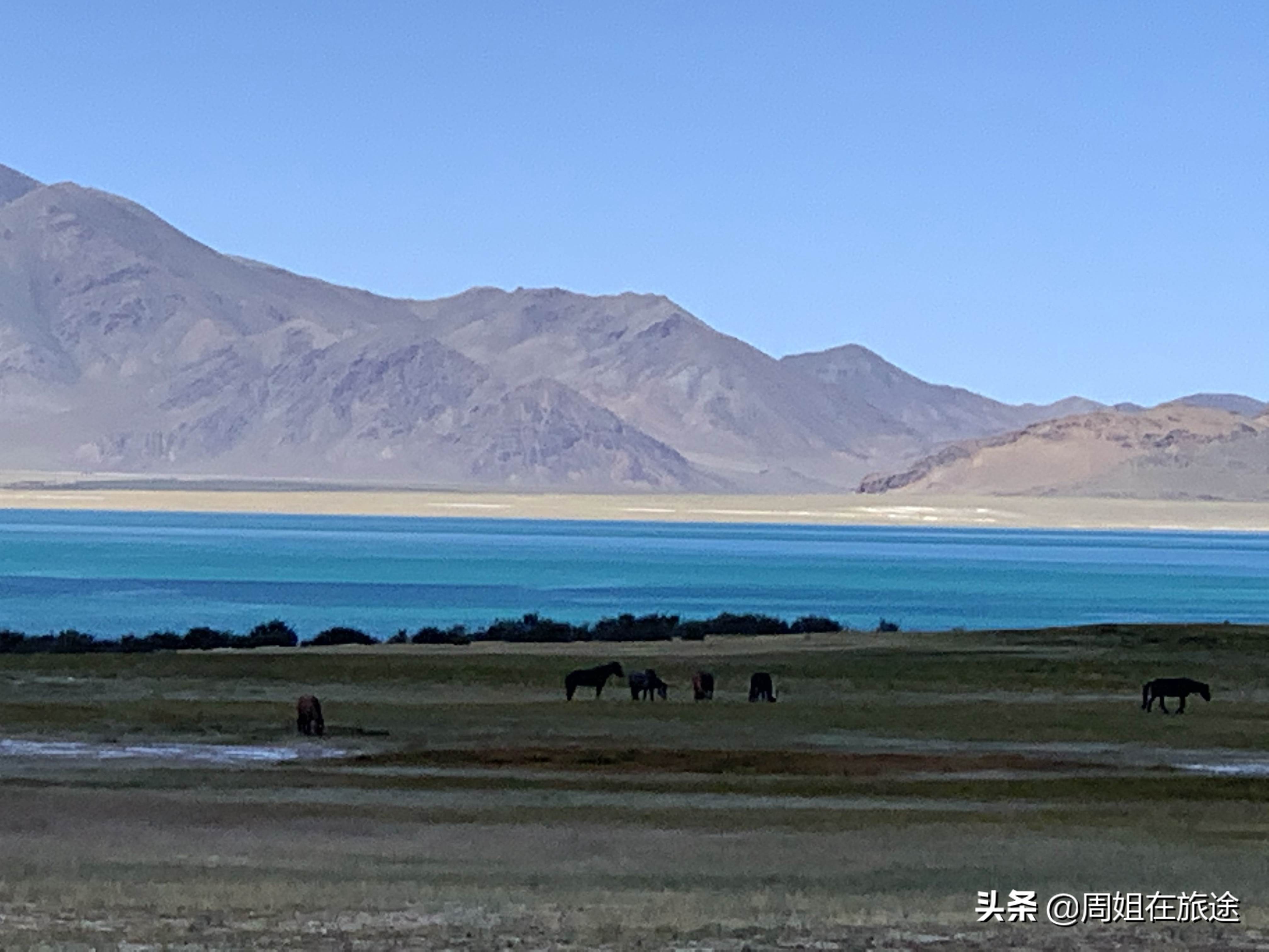 60后阿姨环游100国,60后阿姨旅游