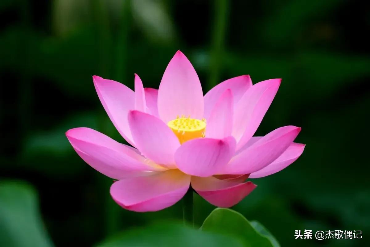 讨厌婆婆和妯娌怎么处理关系,妯娌不和要怎么处理