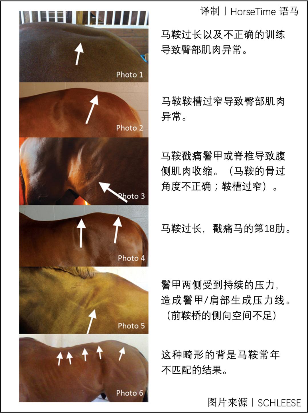 马鞍不匹配会带来哪些危害,马鞍不匹配会造成什么后果