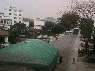 “性取向测试!”如果你看到的是一群人在游泳,那就再仔细看看