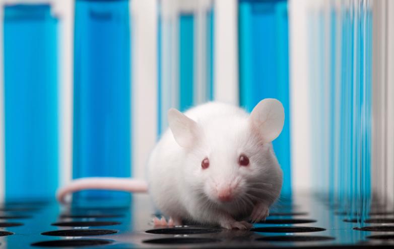 男性避孕药好还是女性避孕药好,男性避孕药安全吗