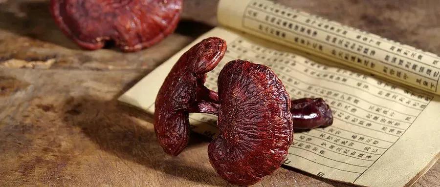 养肝护肝喝什么茶最好菊花金银花,熬夜喝什么菊花茶最好养肝