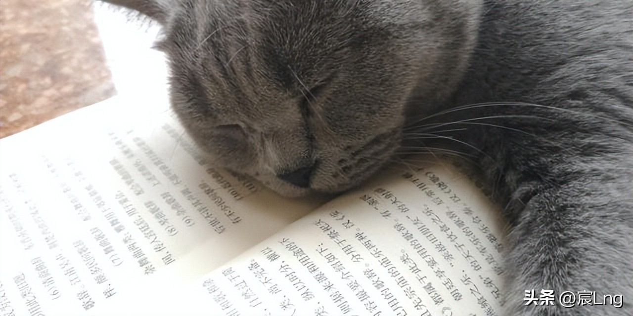 36岁中专生失业出路,女36岁无一技之长的出路