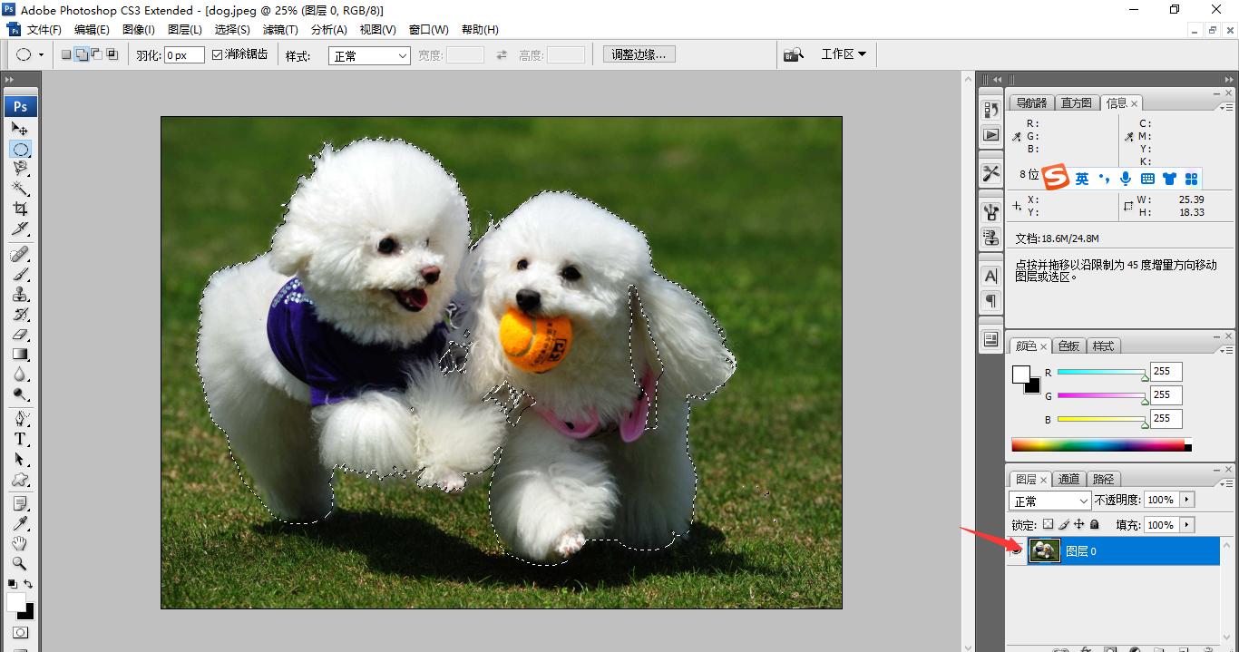 在photoshop如何抠图,photoshop教程通道抠图