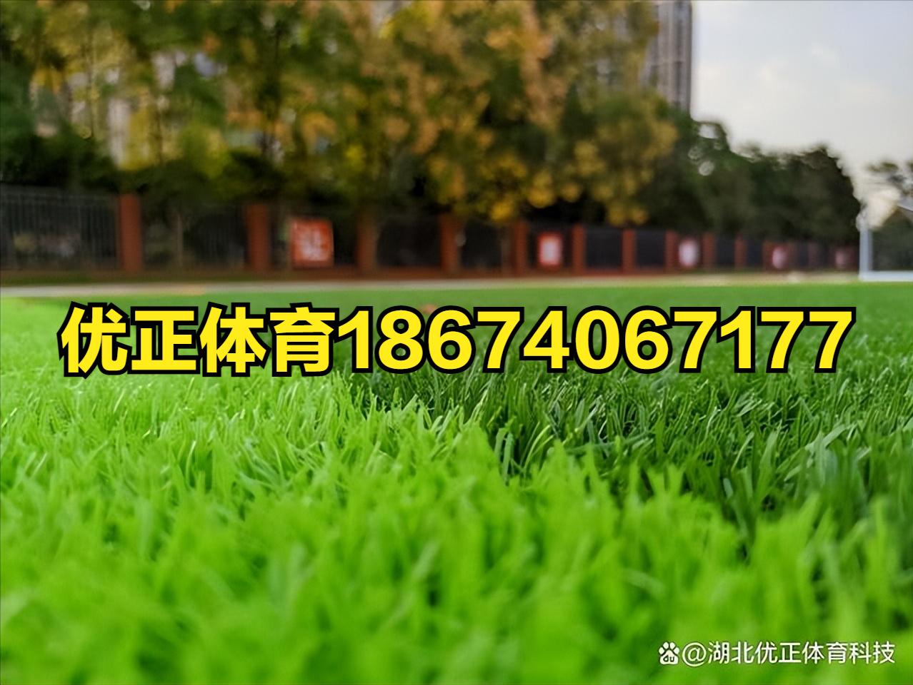 拉萨足球场人造草坪厂家,拉萨塑料仿真草坪施工