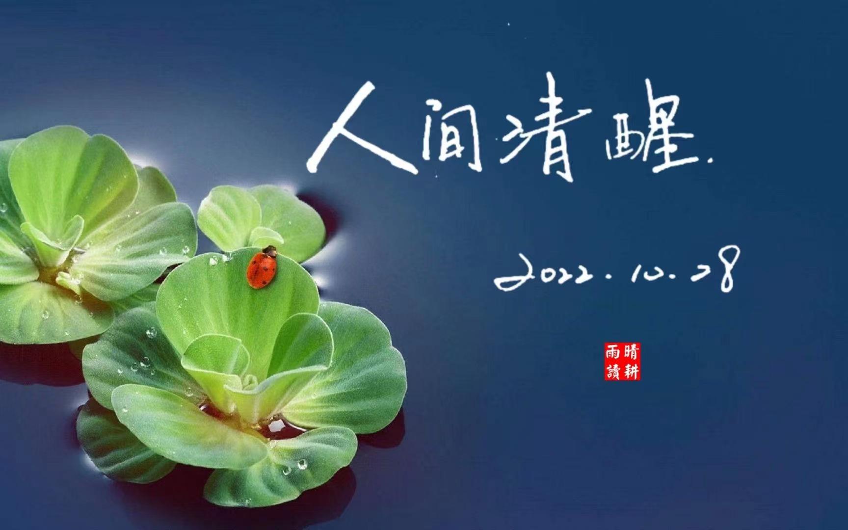 静待人间十一月，只愿，明朝清风吹晨夕，日子可静也可安