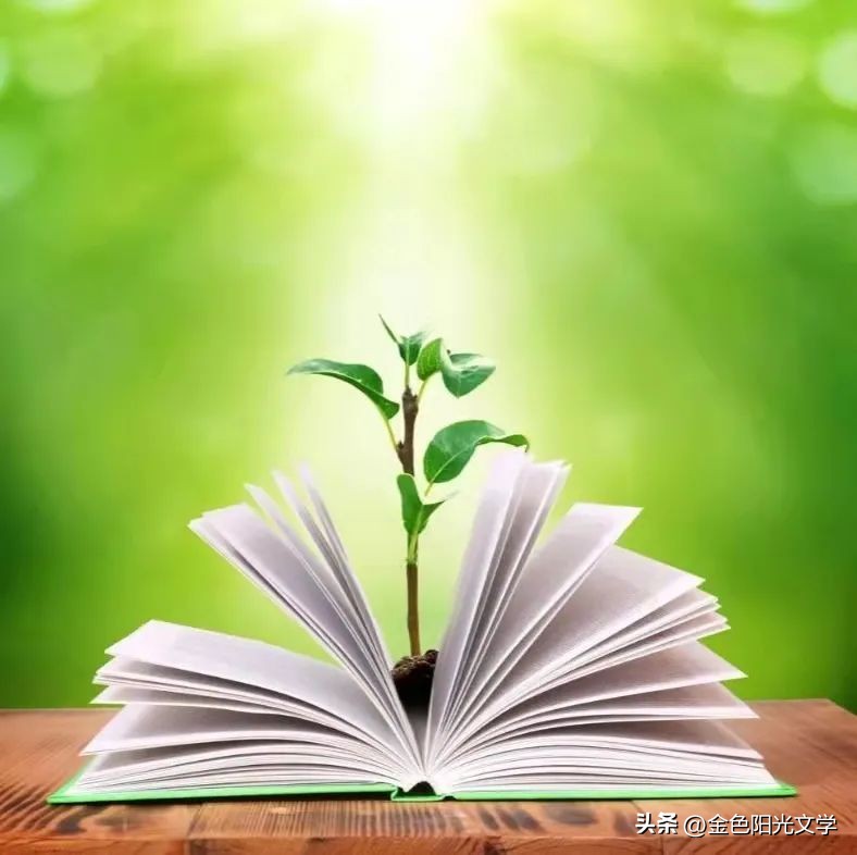 《逃宝》《咕咕》《古怪的猫》《灰灰》