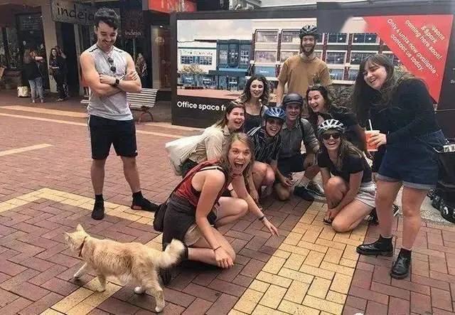 新西兰风景冷知识简介,真实的新西兰你了解多少