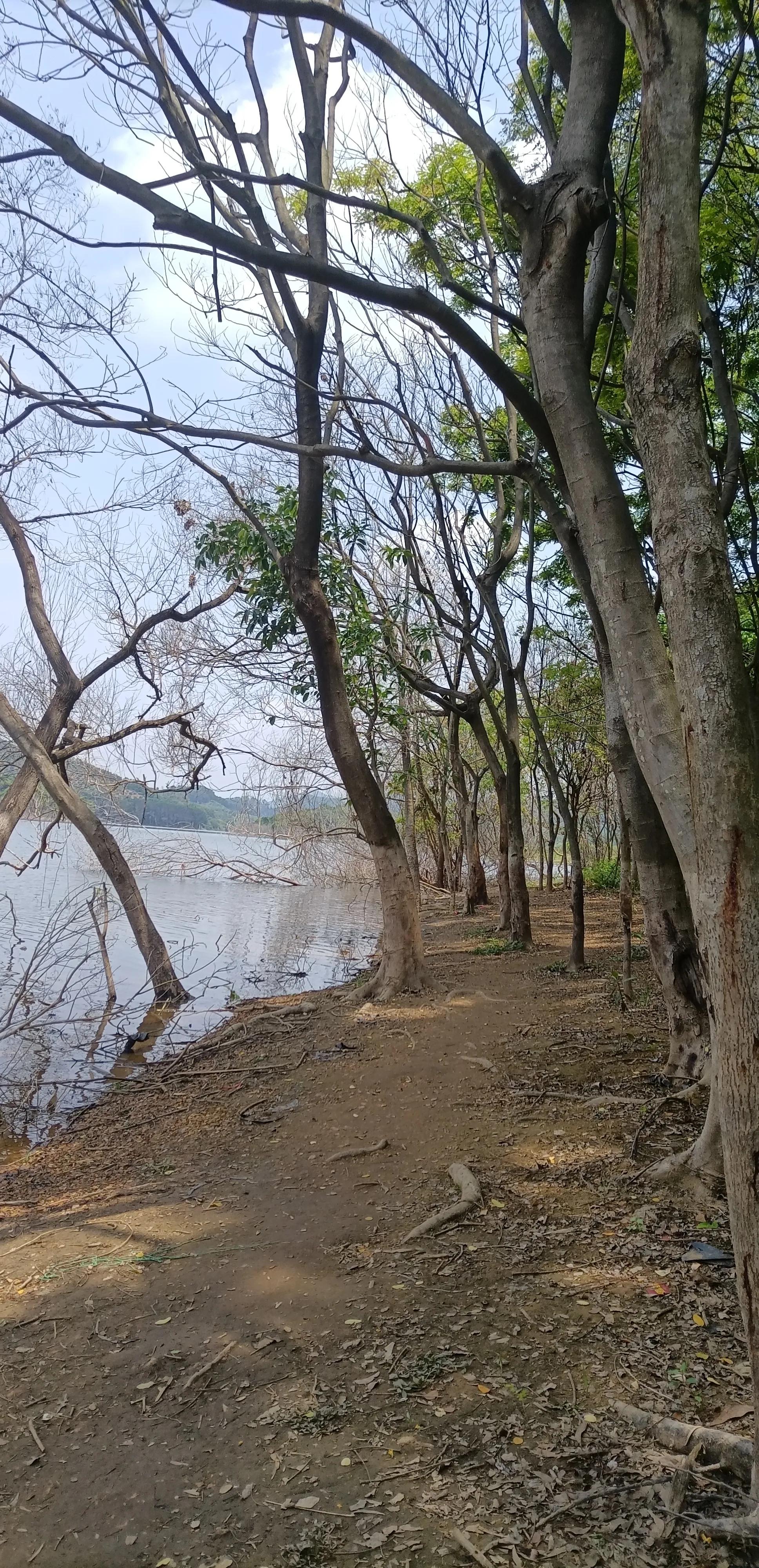平常心即是道经典语录,平常心即是道南怀瑾