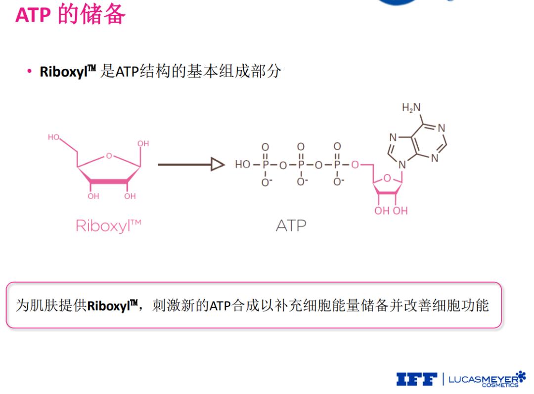 最贵的一瓶护肤品,很昂贵的护肤品
