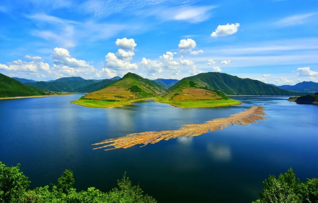 2023已过半文案,2023已过半