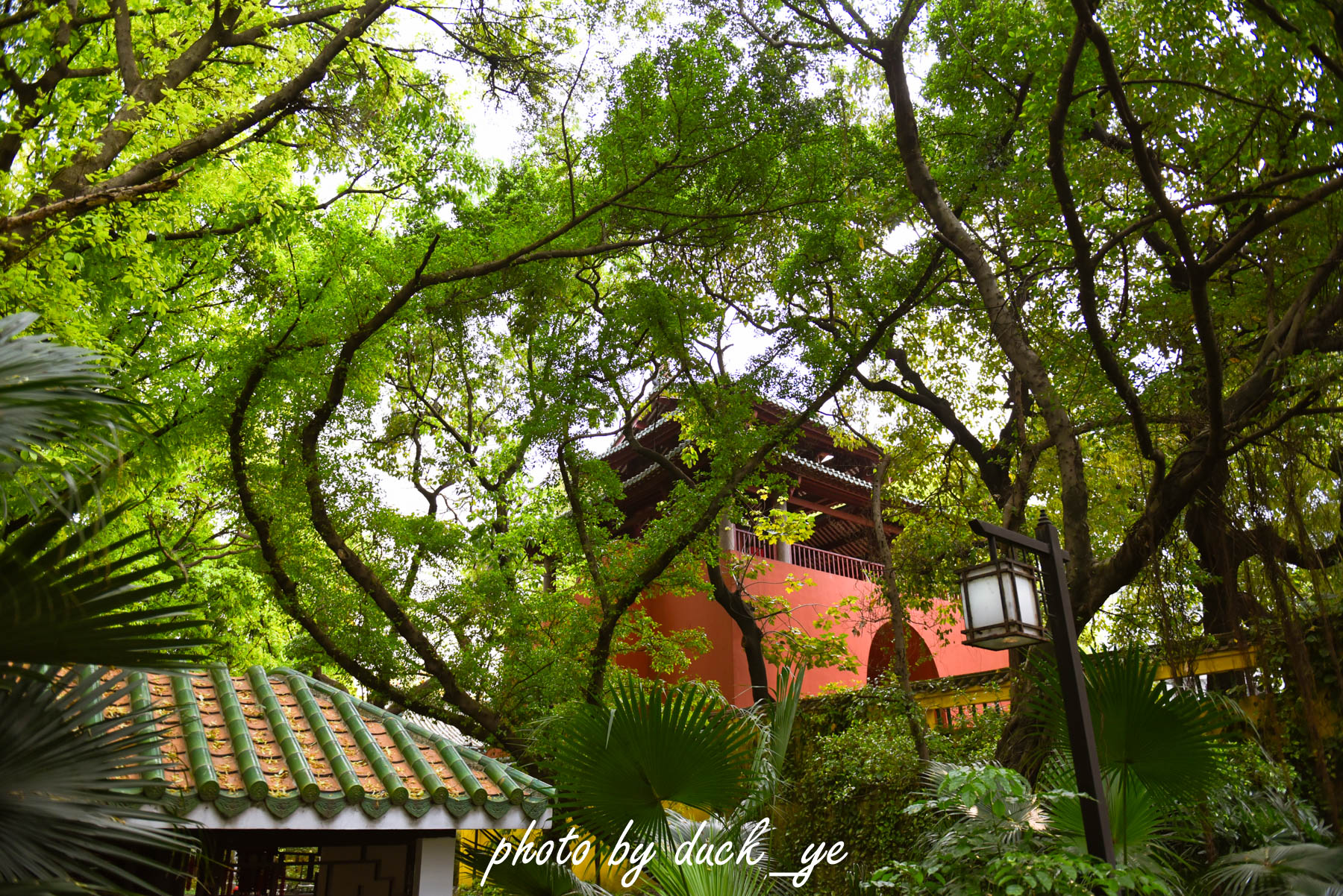 广州闹市古寺,广州闹市中的古建筑