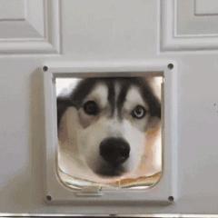 如何清洗化妆刷的短视频,如何清洗化妆刷速干