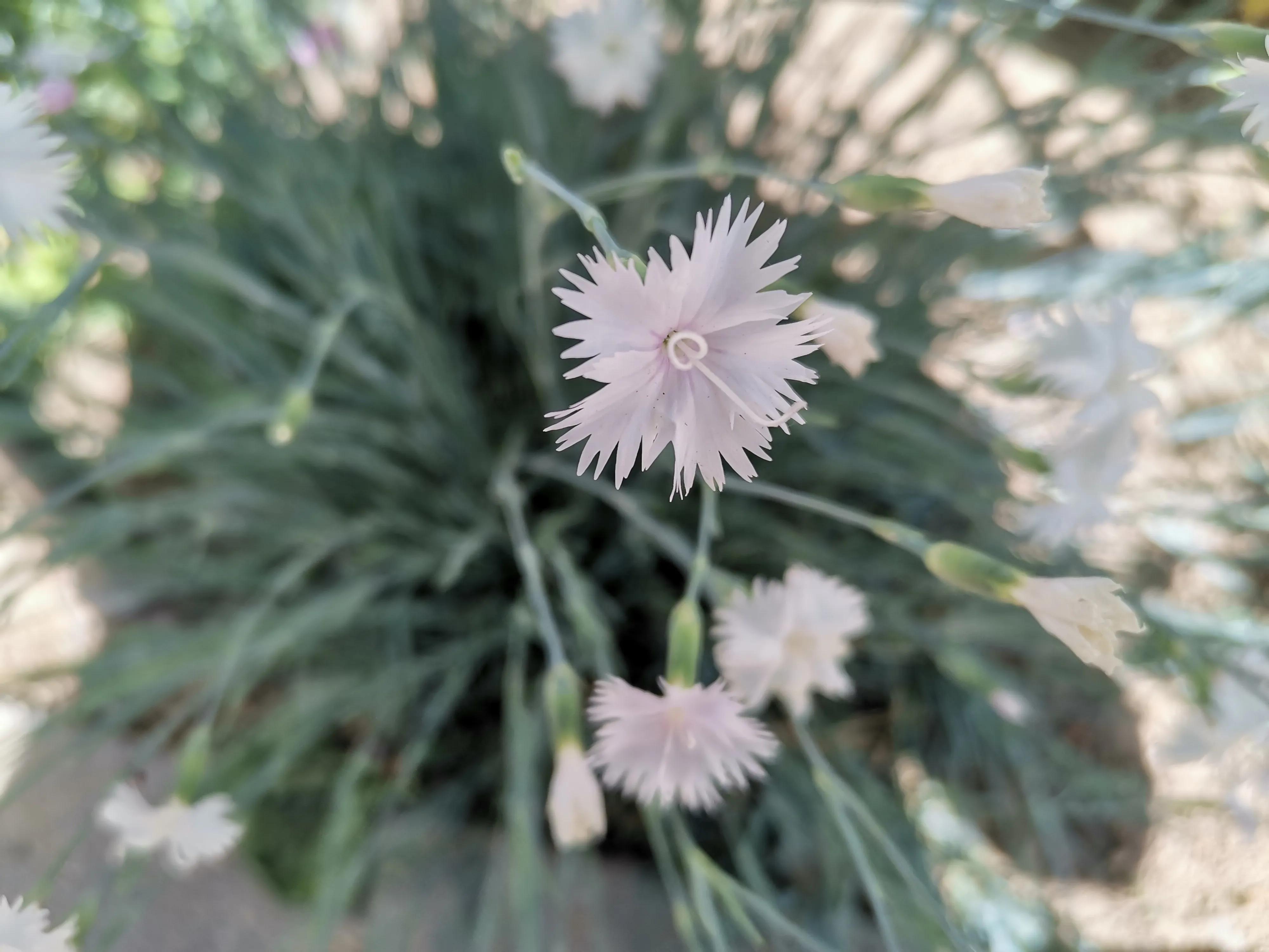 王串场公园有什么,王串场公园地图