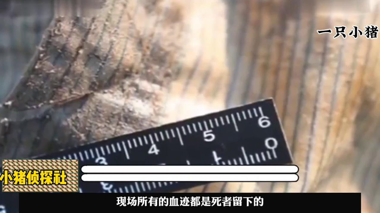 如果你的朋友有一辆鬼火，你会怎么做？#根据真实故事改编