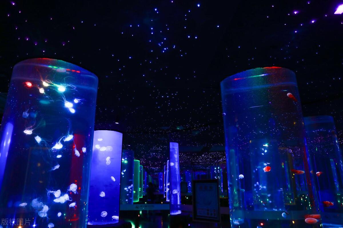 郑州必去的十大景点排行,郑州西郊十大景点