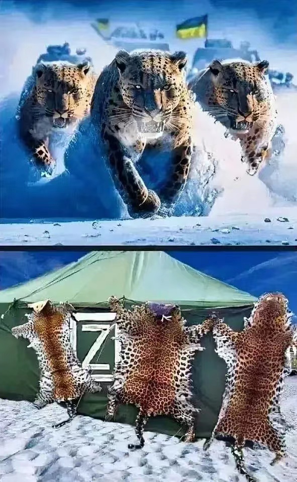 德国嘲笑俄摧毁“豹2”视频造假,俄反手公布清晰视频打脸西方