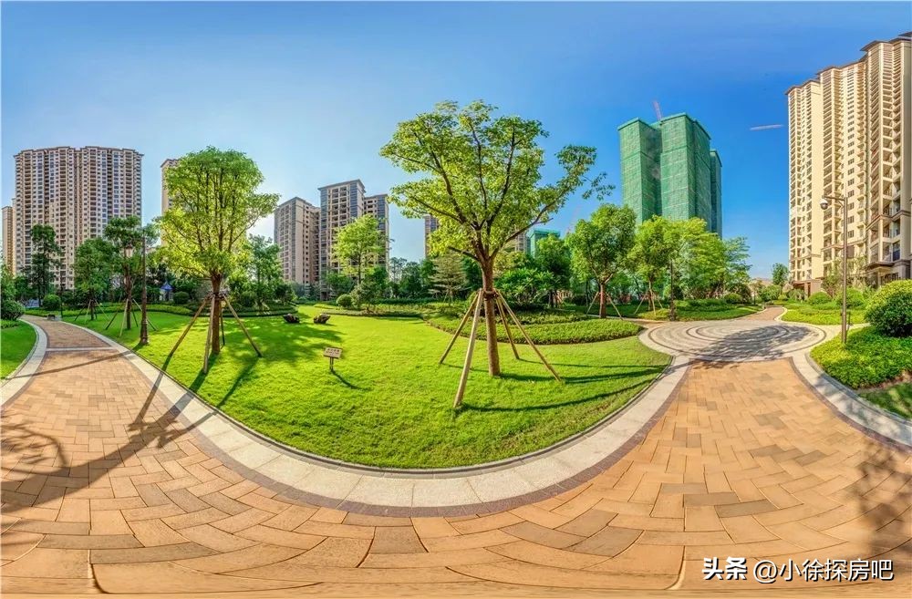 临深龙光城最好的楼盘,临深龙光城都是深圳人在买吗