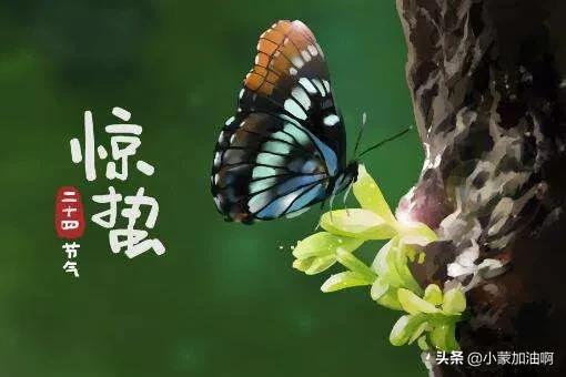 惊蛰前后打雷下雨有什么讲究,惊蛰刮风有什么预兆