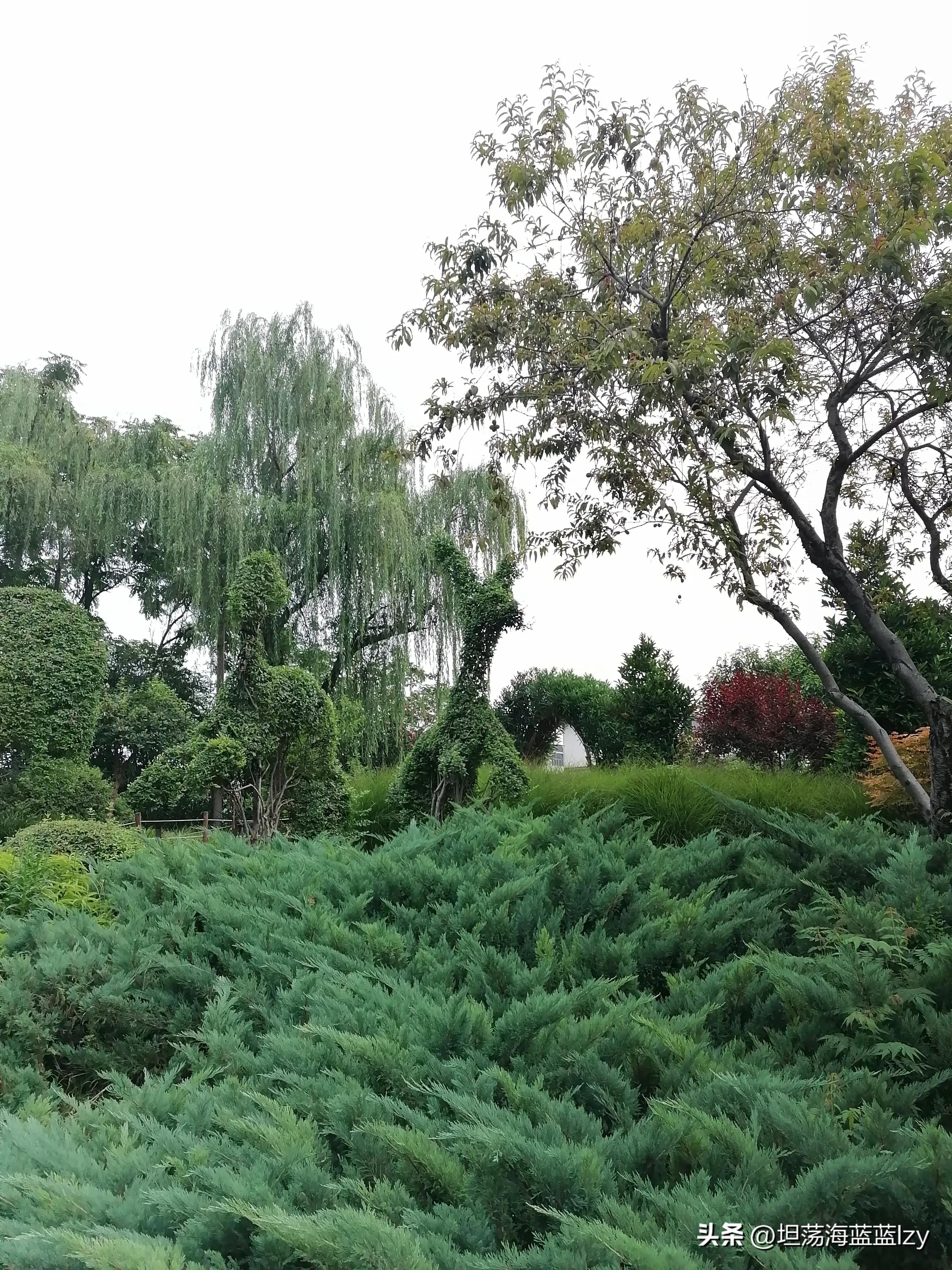 赞美城市美容师图片,怎么赞美一个美容师