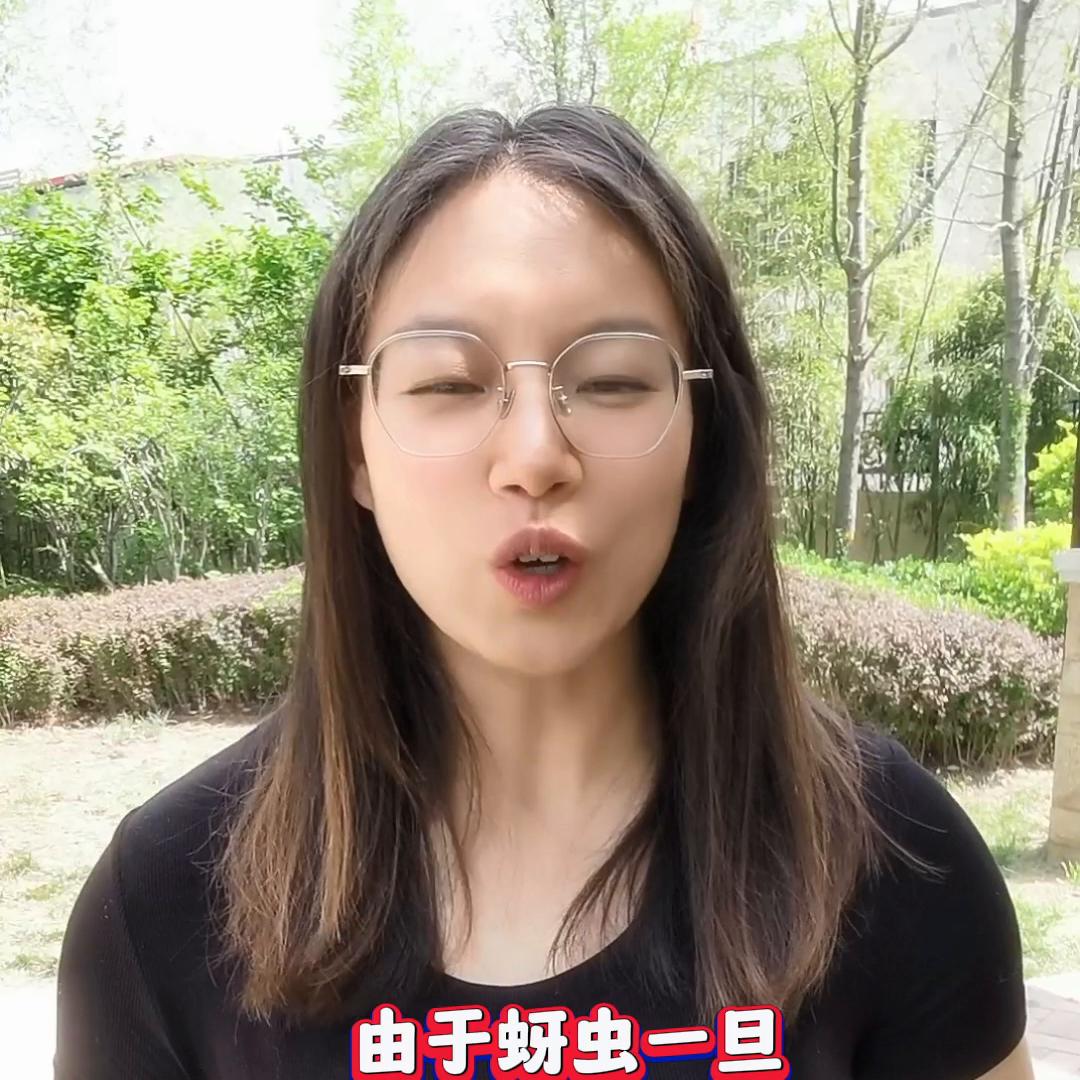 蚜虫净吡虫啉,蚜虫疥虫如何消灭