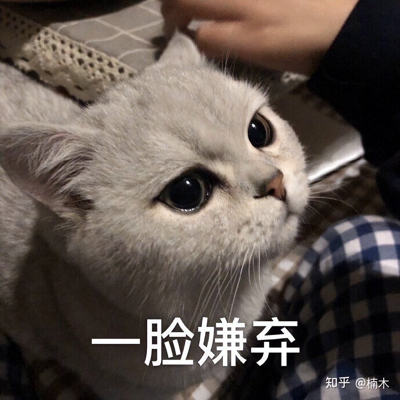 msh医疗险购买,去哪里买msh医疗险