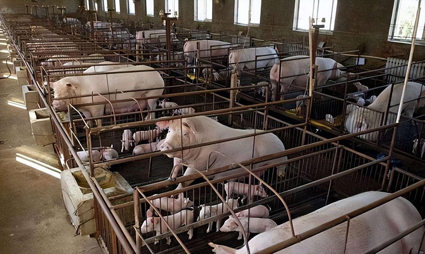 装修好的房子装哪种采暖系统好,家庭适合哪种采暖方式最实惠