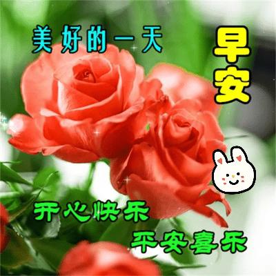 周三早安问候语简短一句话图片,早安问候语最暖心的图片