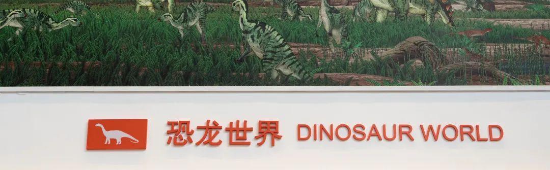 相约博物馆的感受,古生物博物馆南京