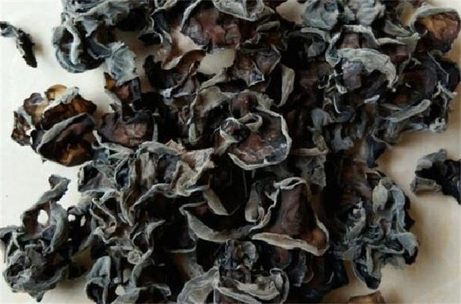 干木耳保质期内发霉能吃吗,干木耳过了保质期能吃么