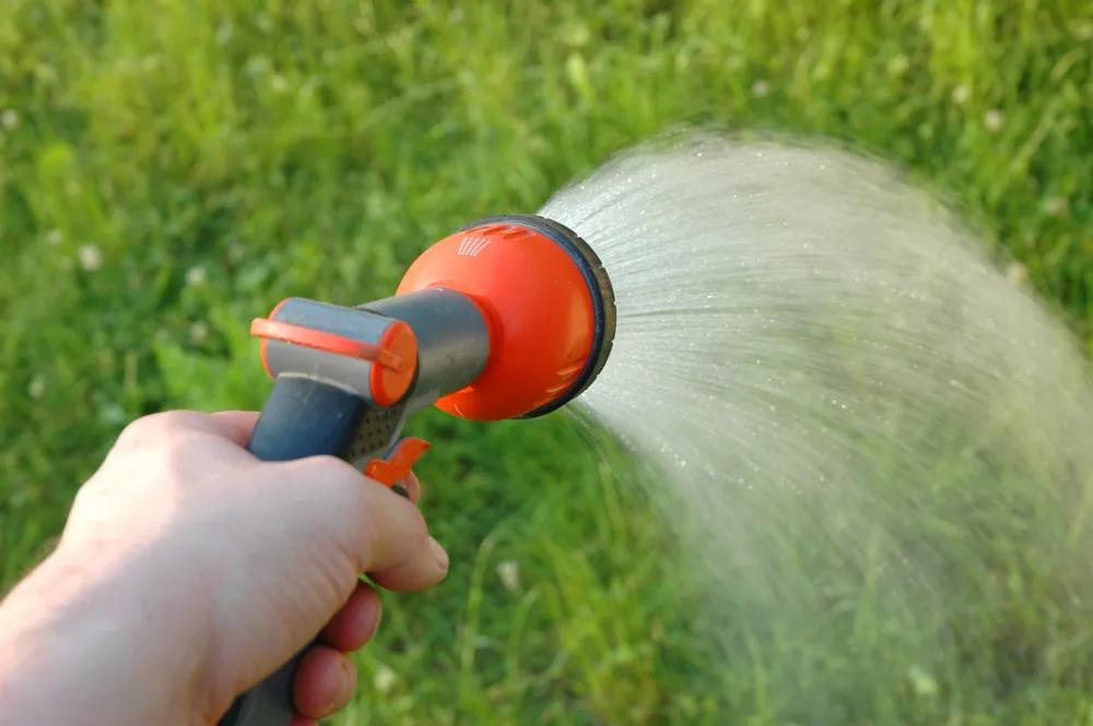 11月乔木灌木草坪病虫害用药,草坪病虫害怎么防治