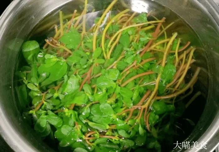 马齿苋怎么做好吃有什么好处,马齿苋怎么做好吃又有营养价值