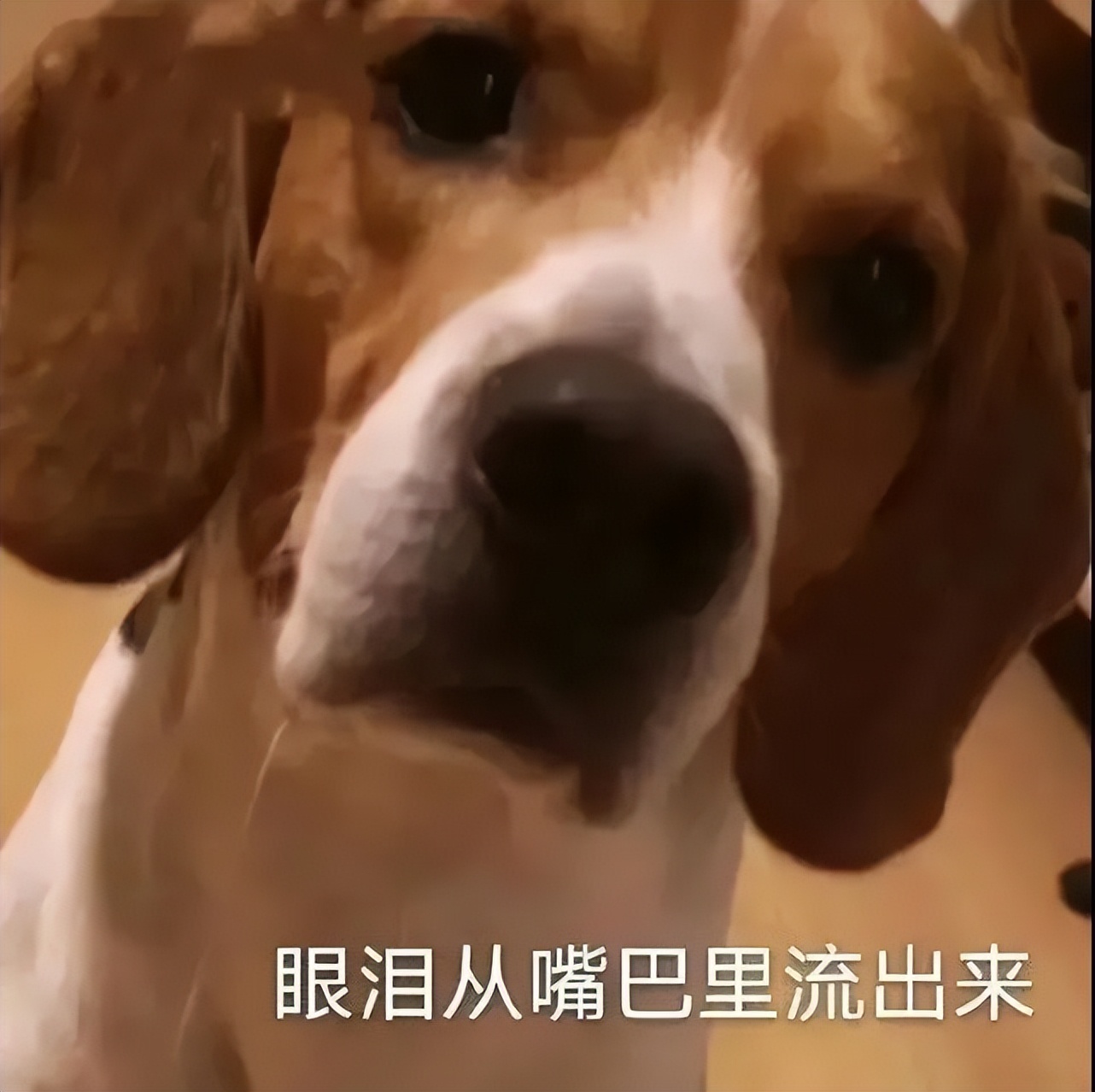 我的被骗日记｜21580积分不一定能换来“好礼”……