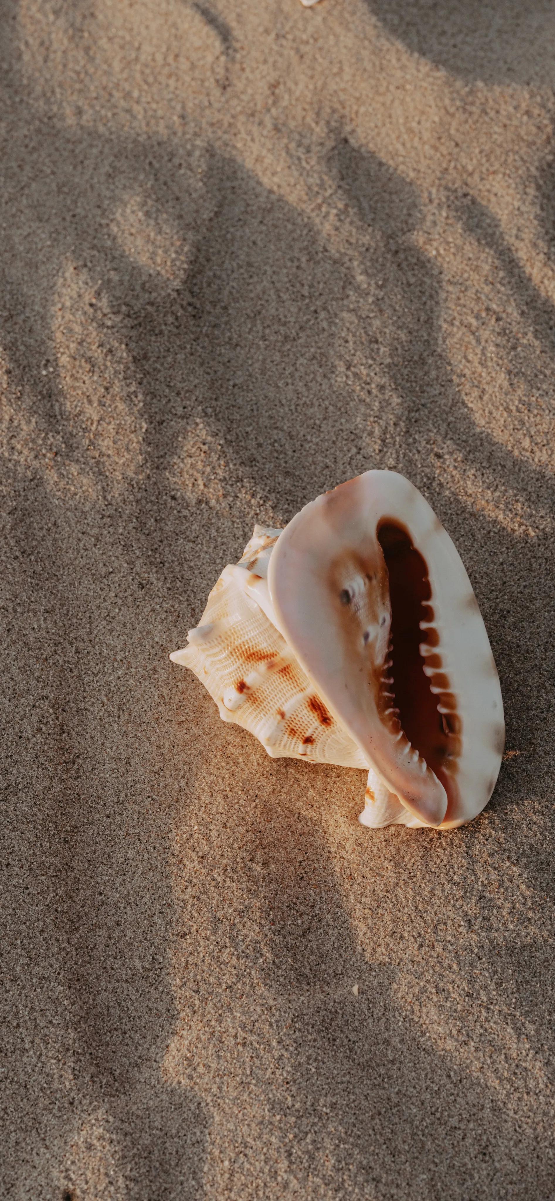 海洋岛屿壁纸高清全屏,海浪沙滩壁纸全屏高清