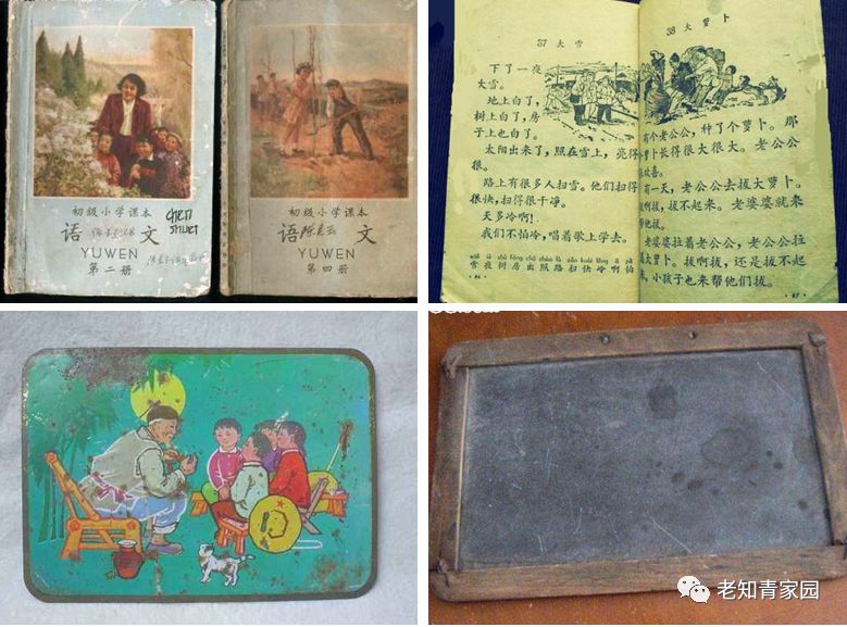 50年代的人成长经历,五十年代生人成长史