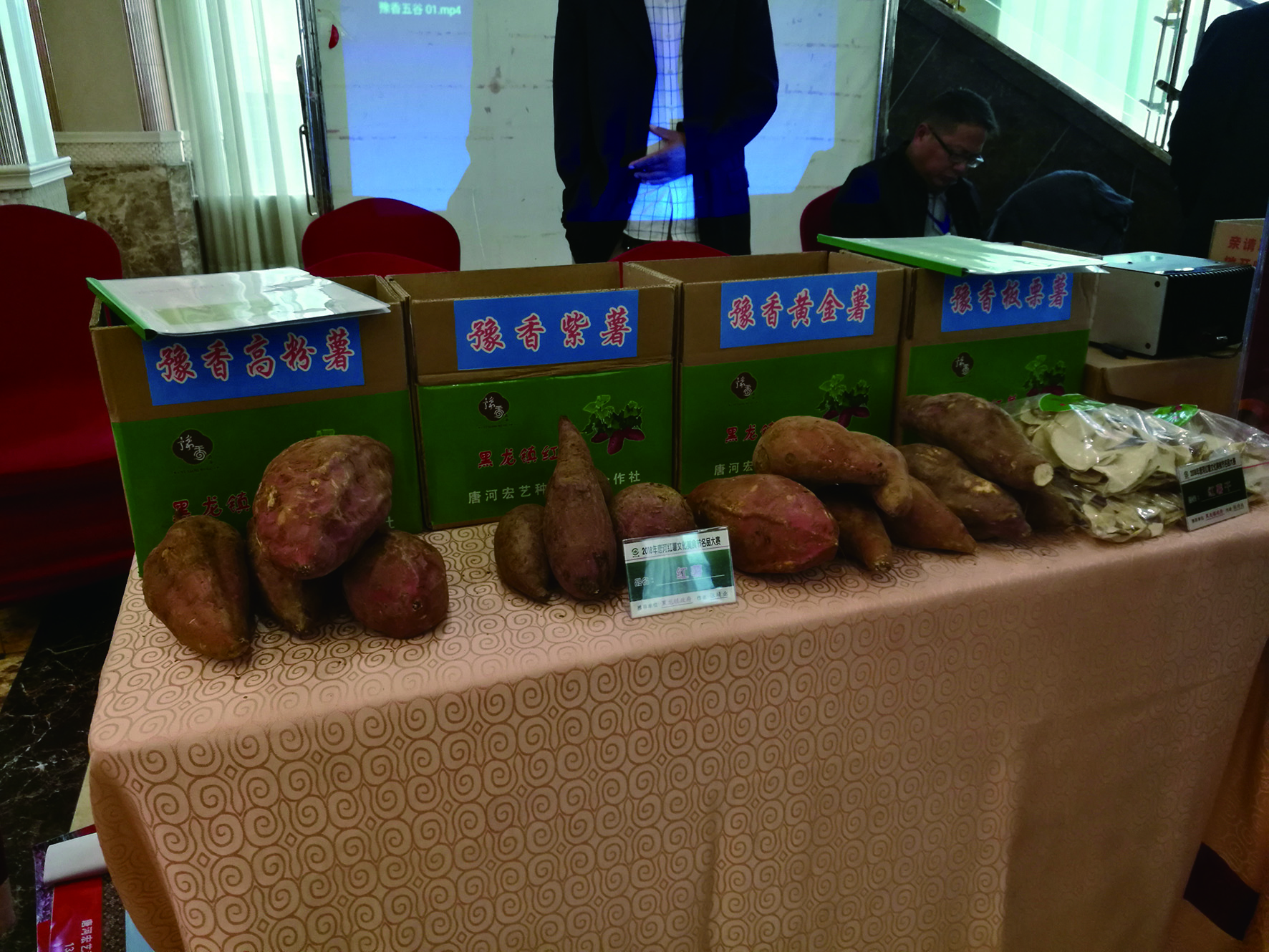 基于在地性视野的河南“唐河红薯”包装创新设计