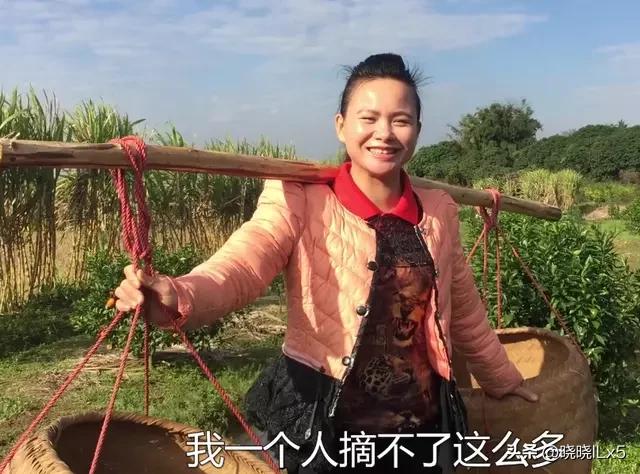 果农如何才能赚钱,果农的年收入