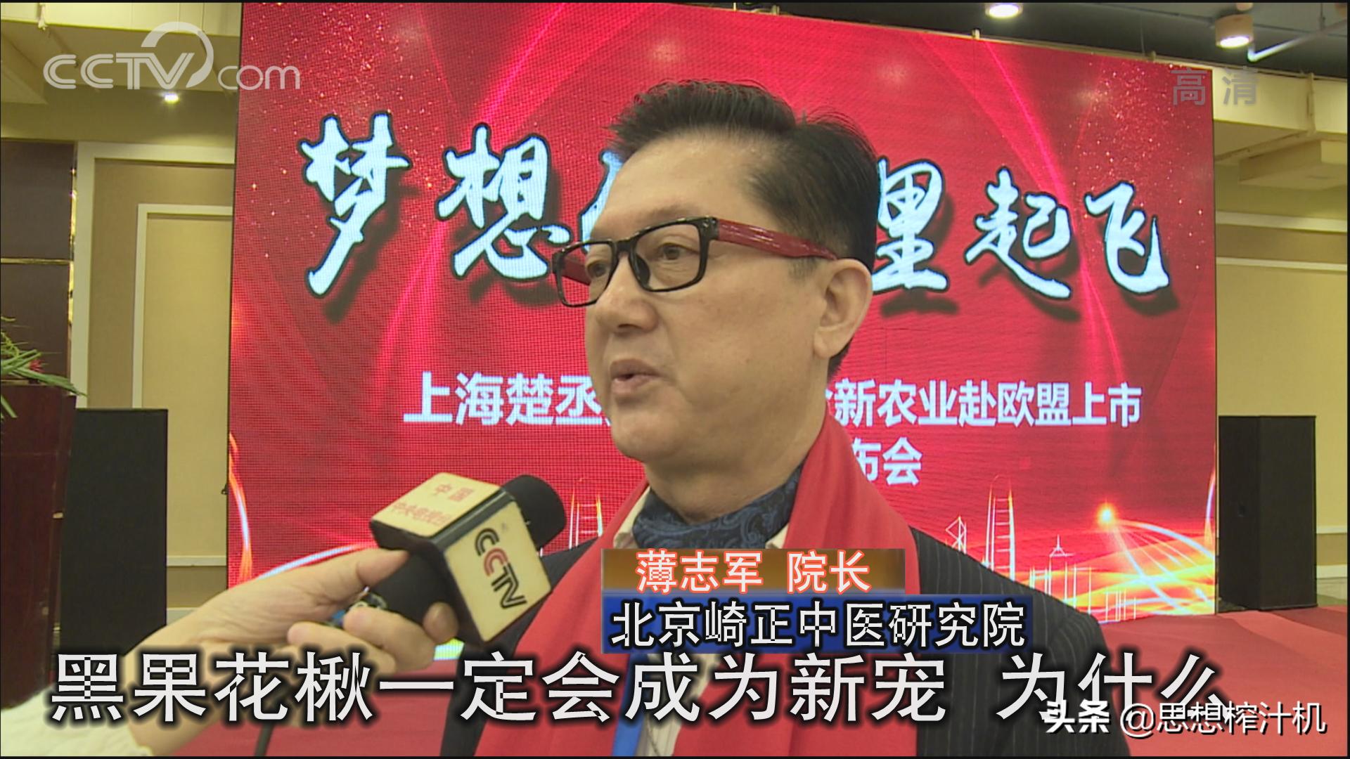 黑果花楸市场前景如何,辽宁黑果花楸苗基地