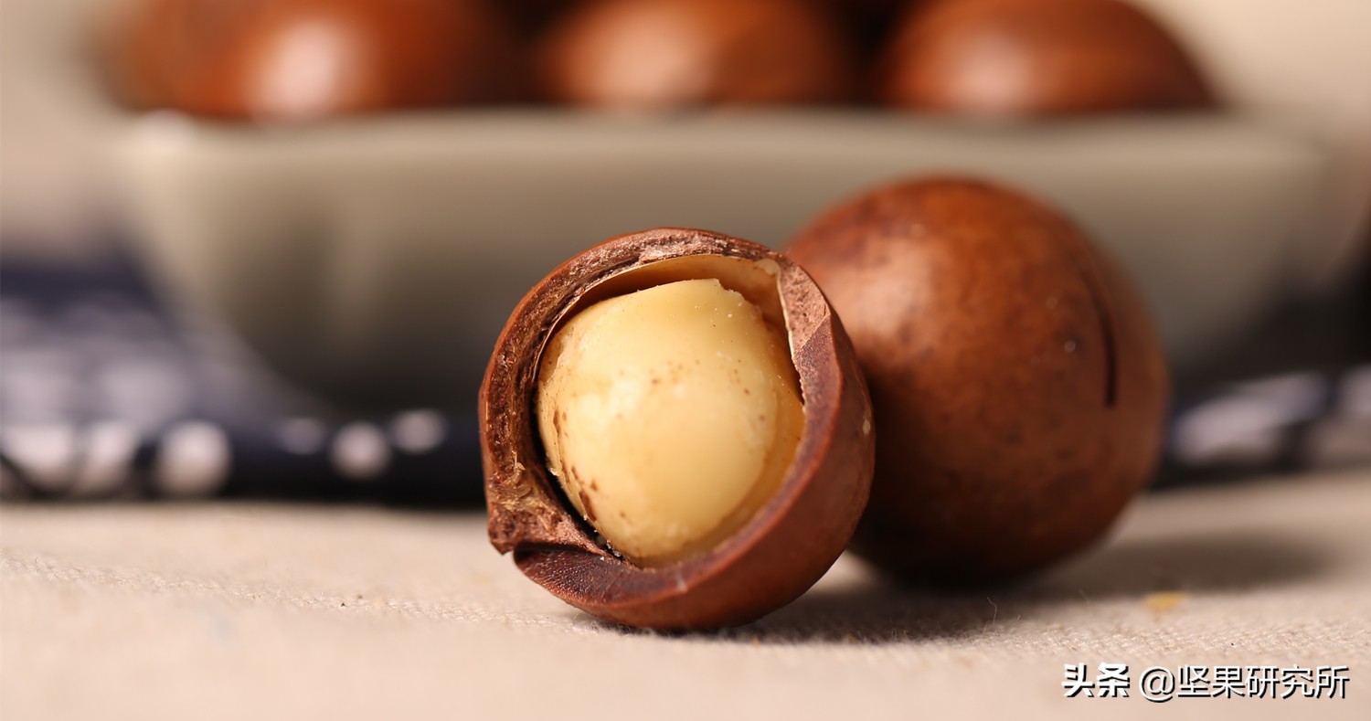 巴西松子的果是什么样的,巴西松子与东北松子营养有区别吗