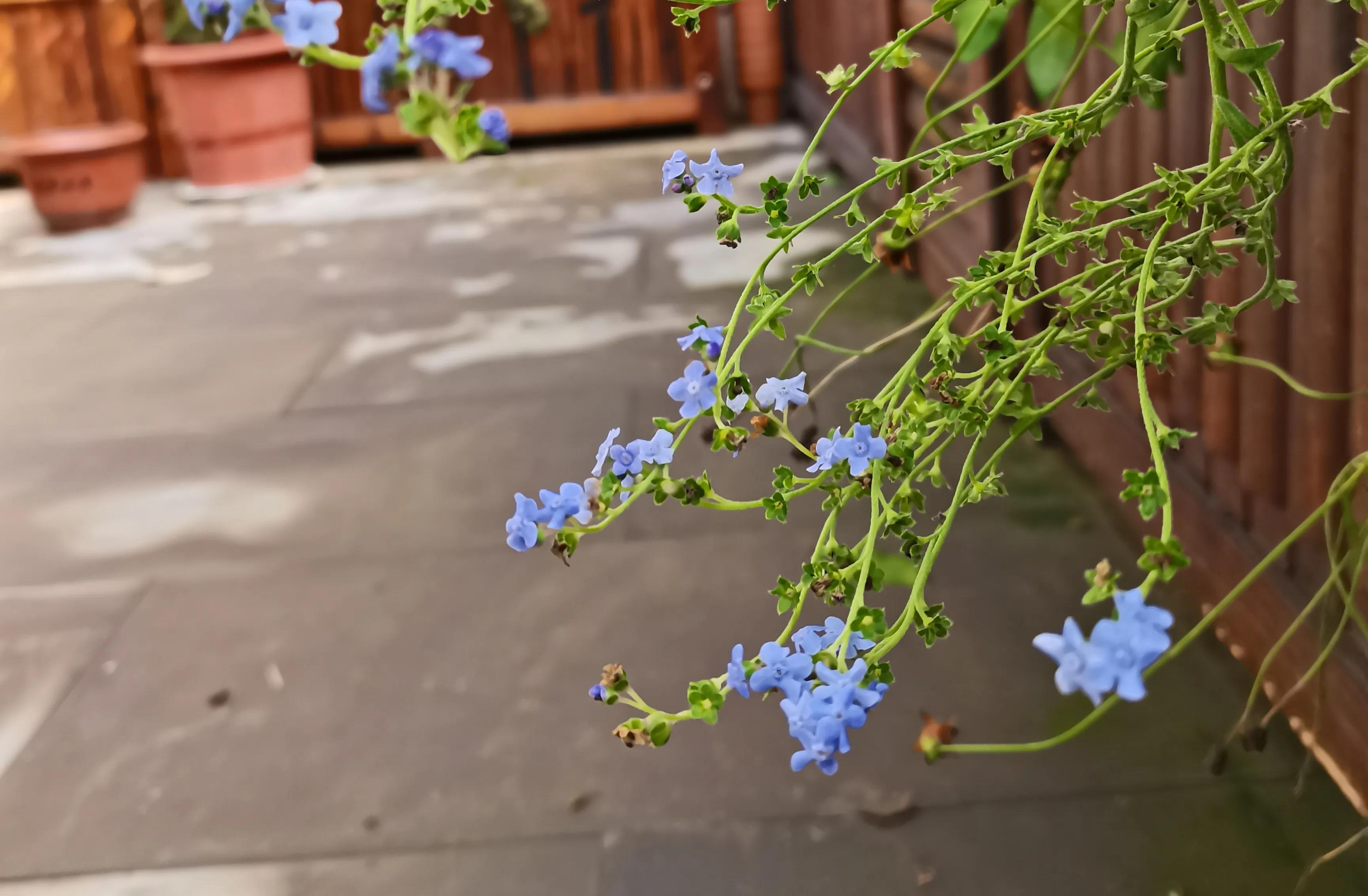小普陀|苏溪的抉择是等待