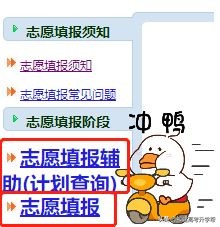 2023福建高考志愿填报攻略,2023福建高考志愿填报最后一步