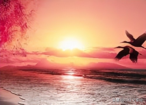 抖音文案小清新吸引人,抖音清新治愈的文案