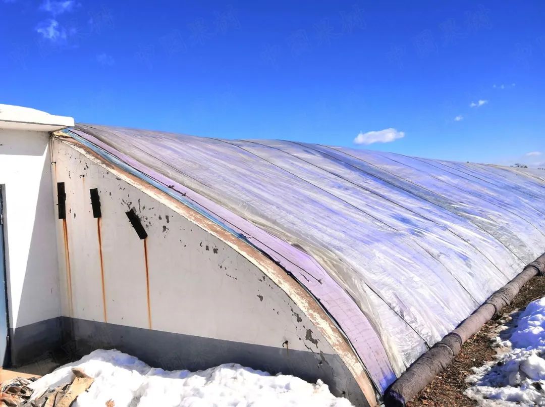 设施农业大棚冬季除雪注意事项及方法