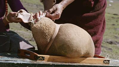 三伏天吃羊肉是种怎么样的体验,三伏天吃羊肉让你大汗淋漓