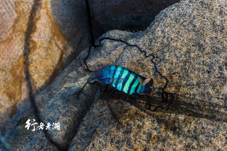 庙湾岛：再遥远的距离，也无法隐藏你的美