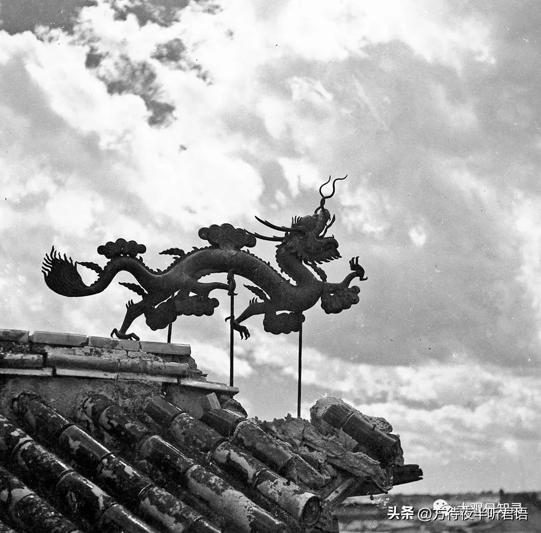 万里追踪纪录片完整版,1937年万里猎影记