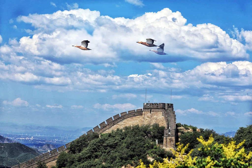 互相培养,互相鼓励共同进步文言文