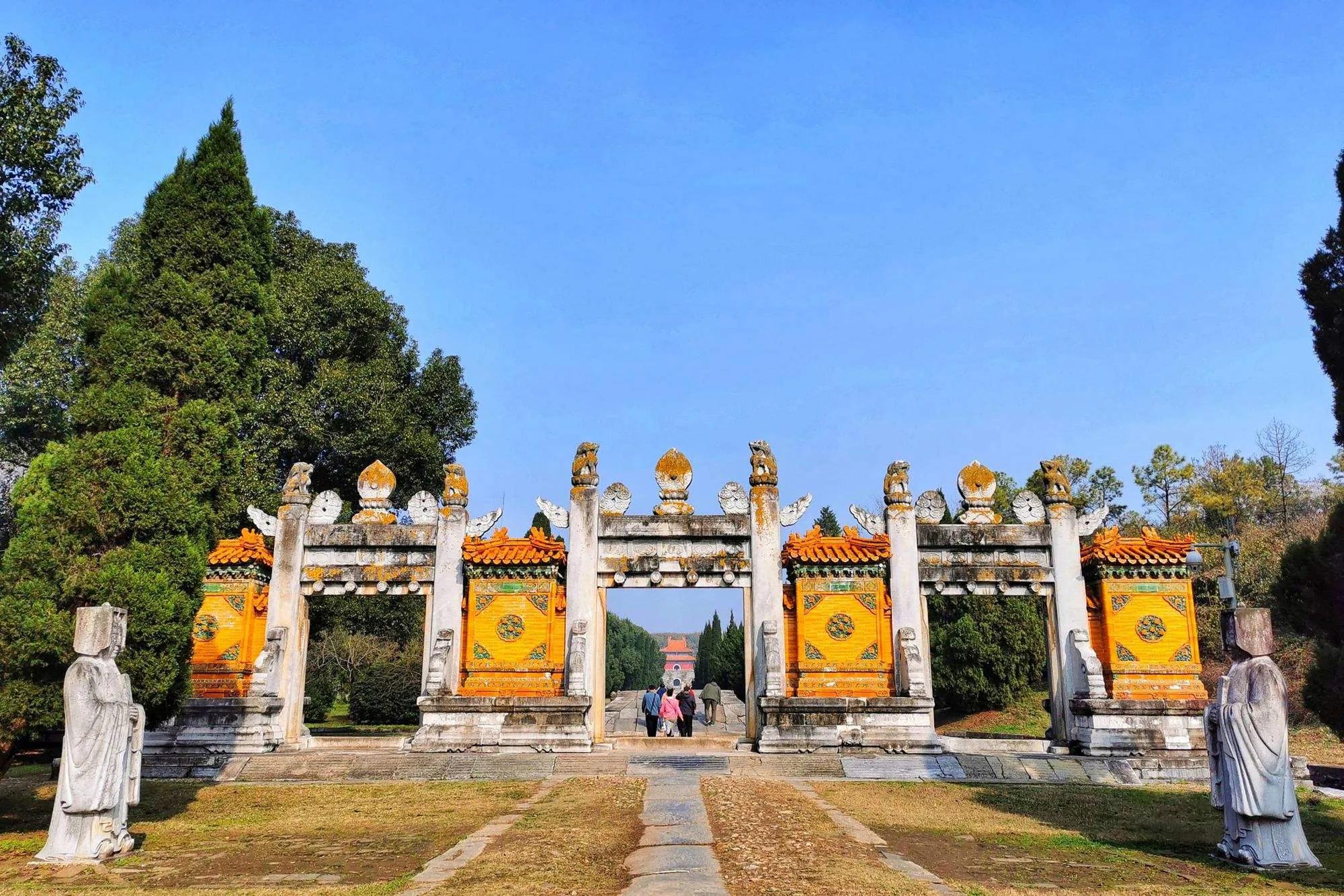 坟地被树遮阴好吗,坟头有树遮阴风水好不好