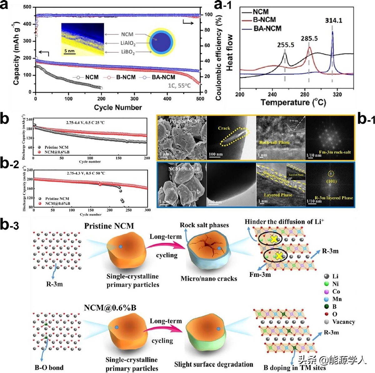 锂离子电池正极材料的镍 (锂离子电池正极材料的发展趋势)